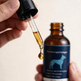 CollaPatte — Collagène Liquide Premium